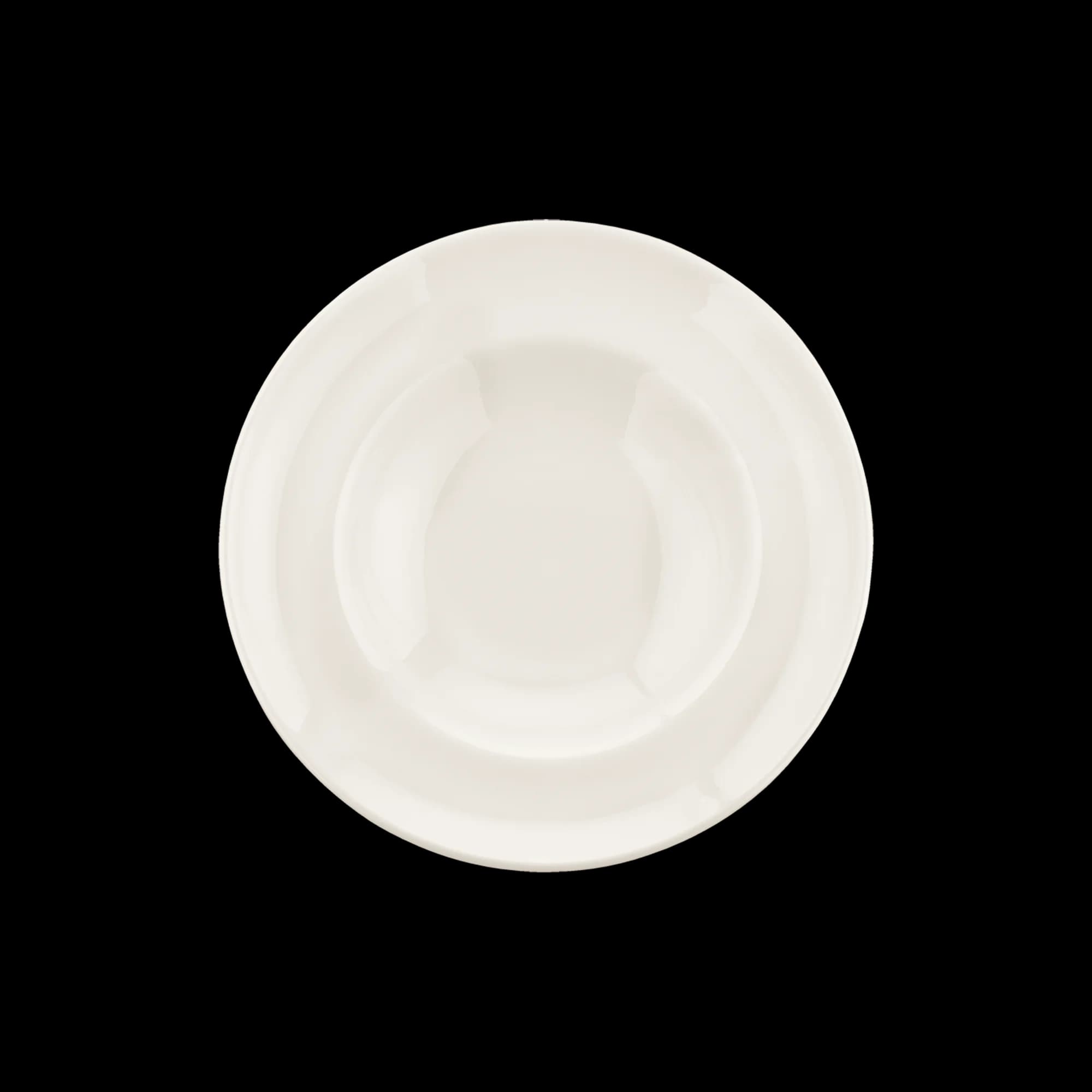 Gourmet Deep Plate 24 cm 400 cc