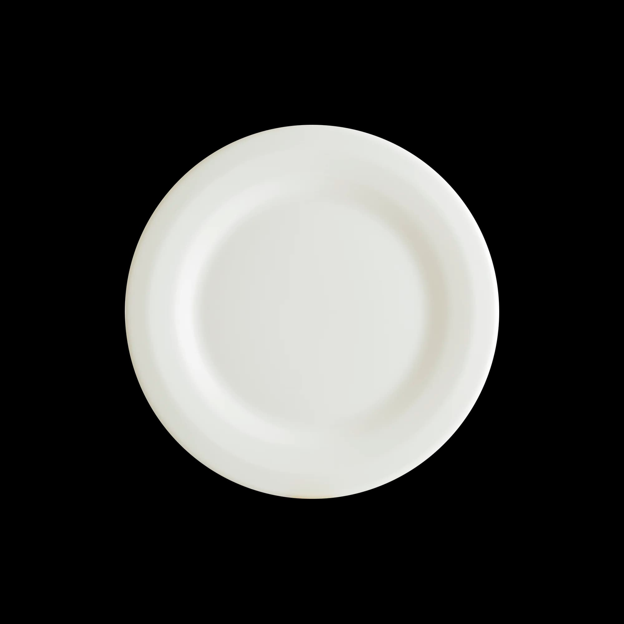 Halo 22cm  Flat Plate