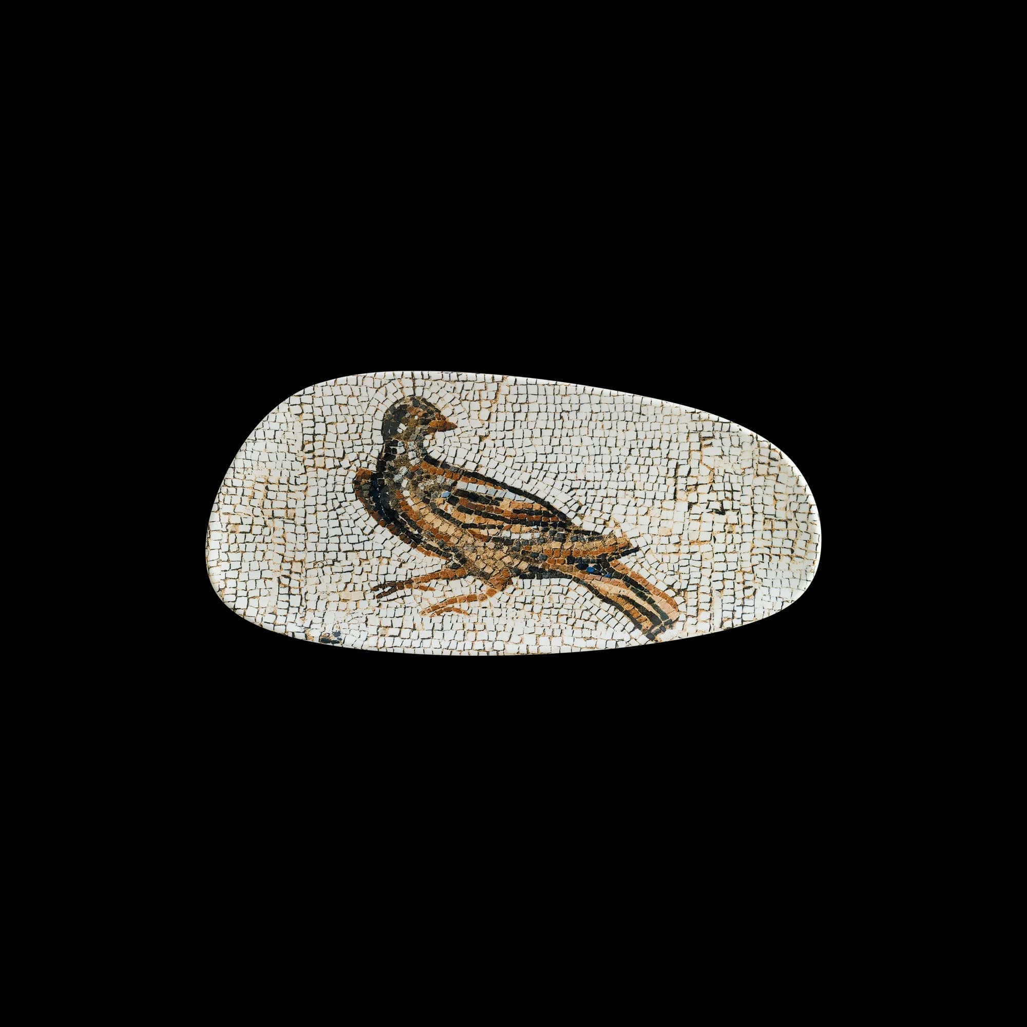 Mesopotamia Pajaro Vago Rectangular Plate 36 cm