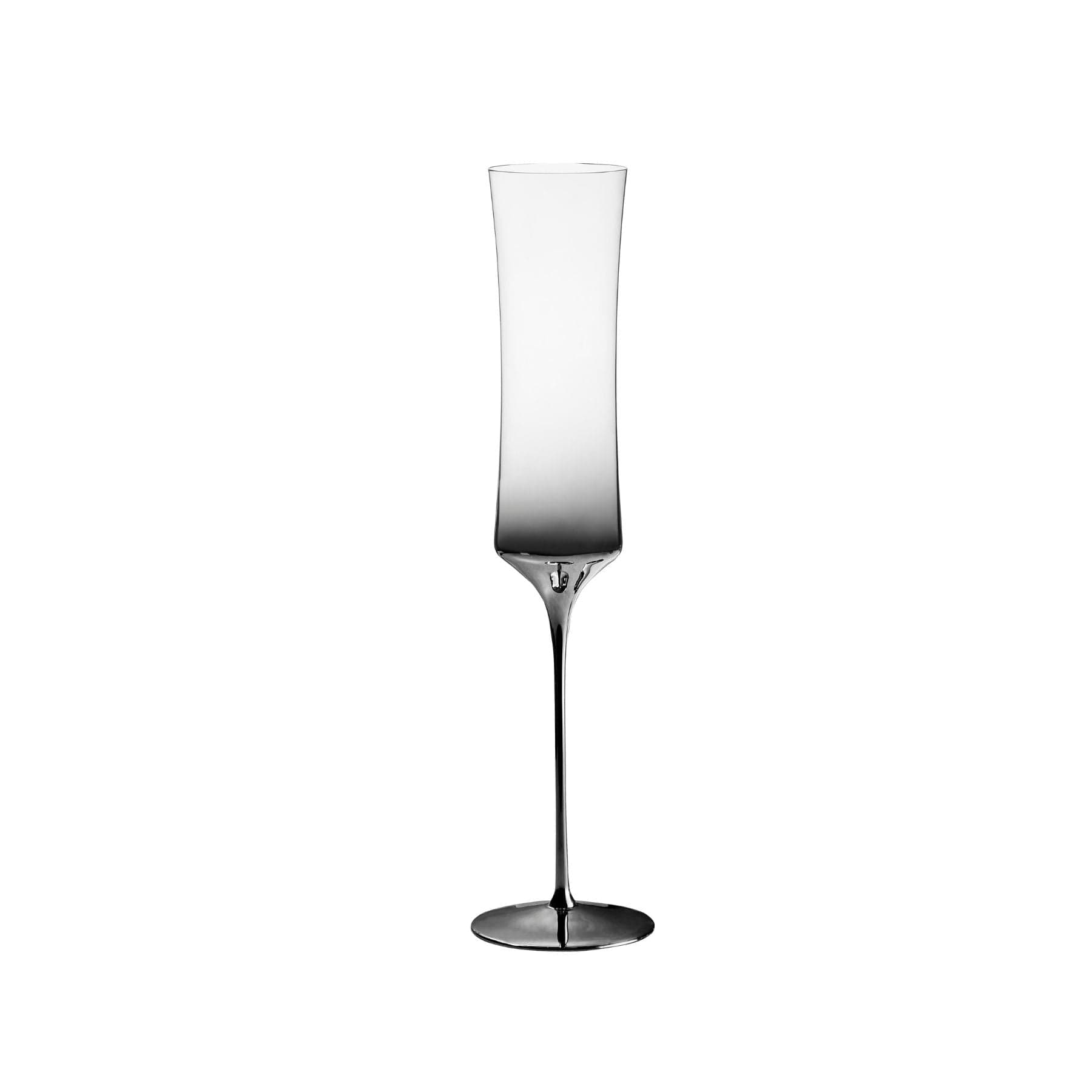 Dream Parade 2-Piece Champagne Glass Set
