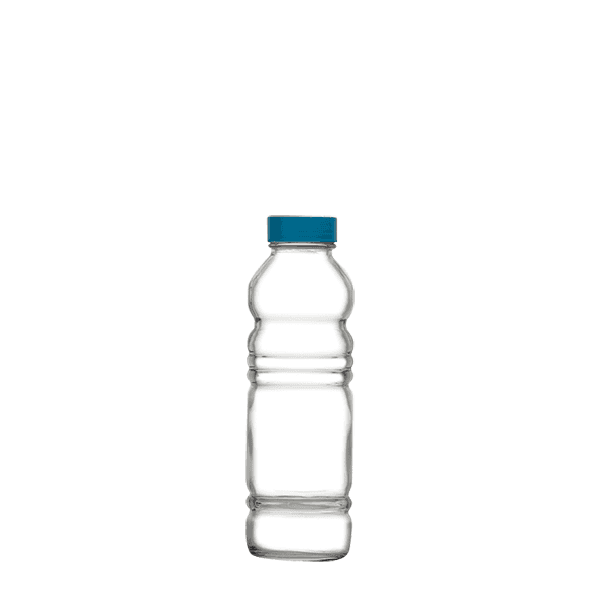 BOTTLE 500 cc