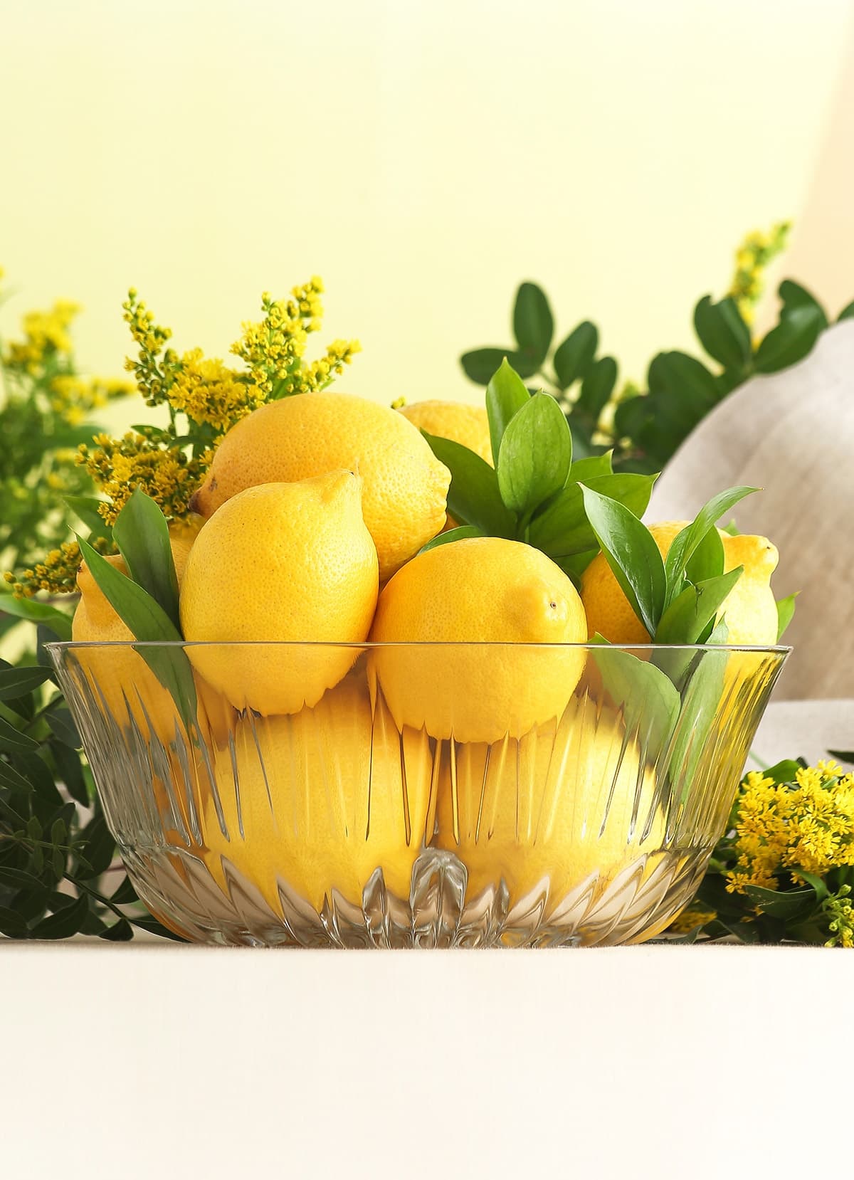 Alinda Single Large Salad Bowl