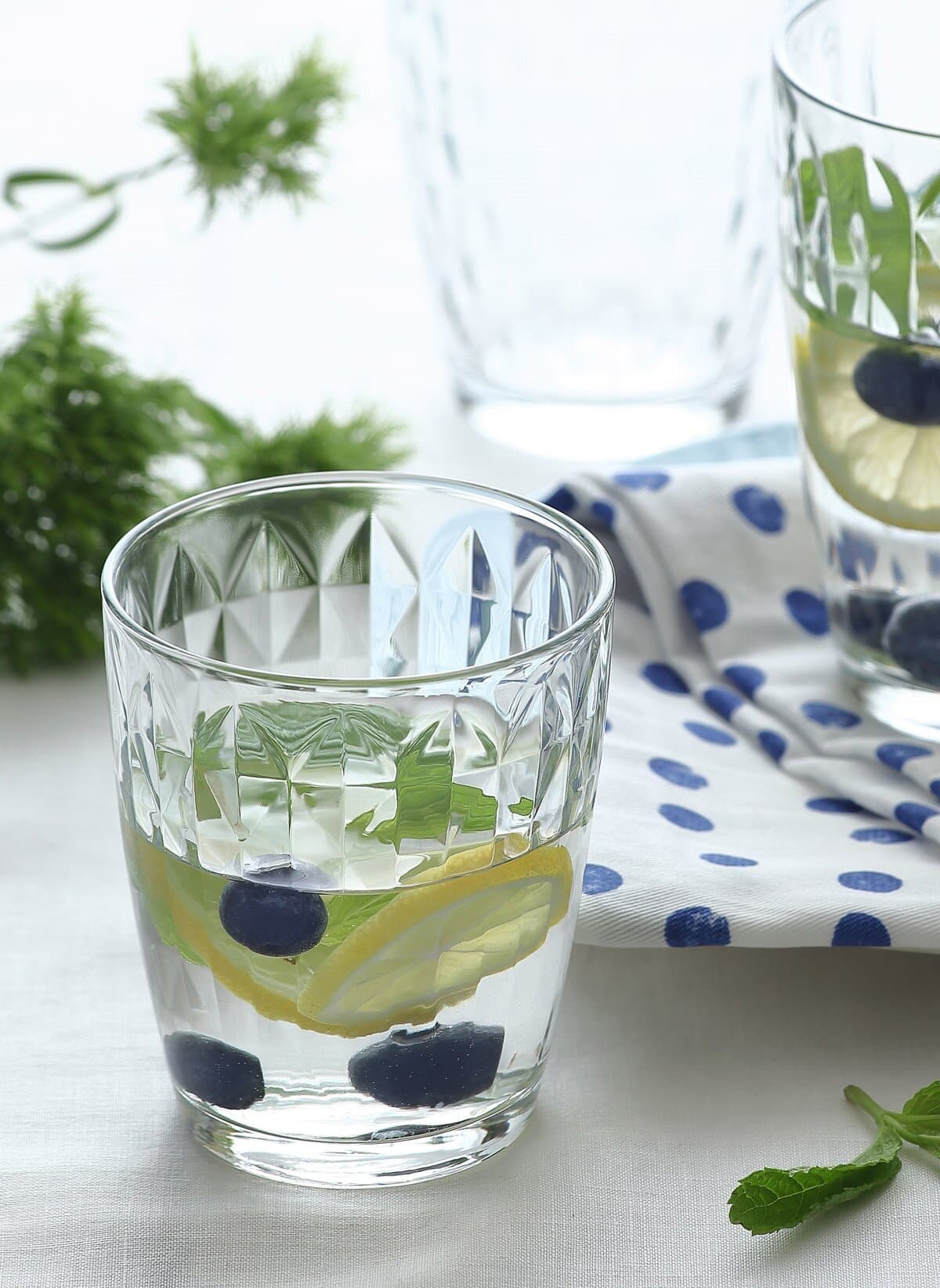 Artemis 6-Piece Water Glass