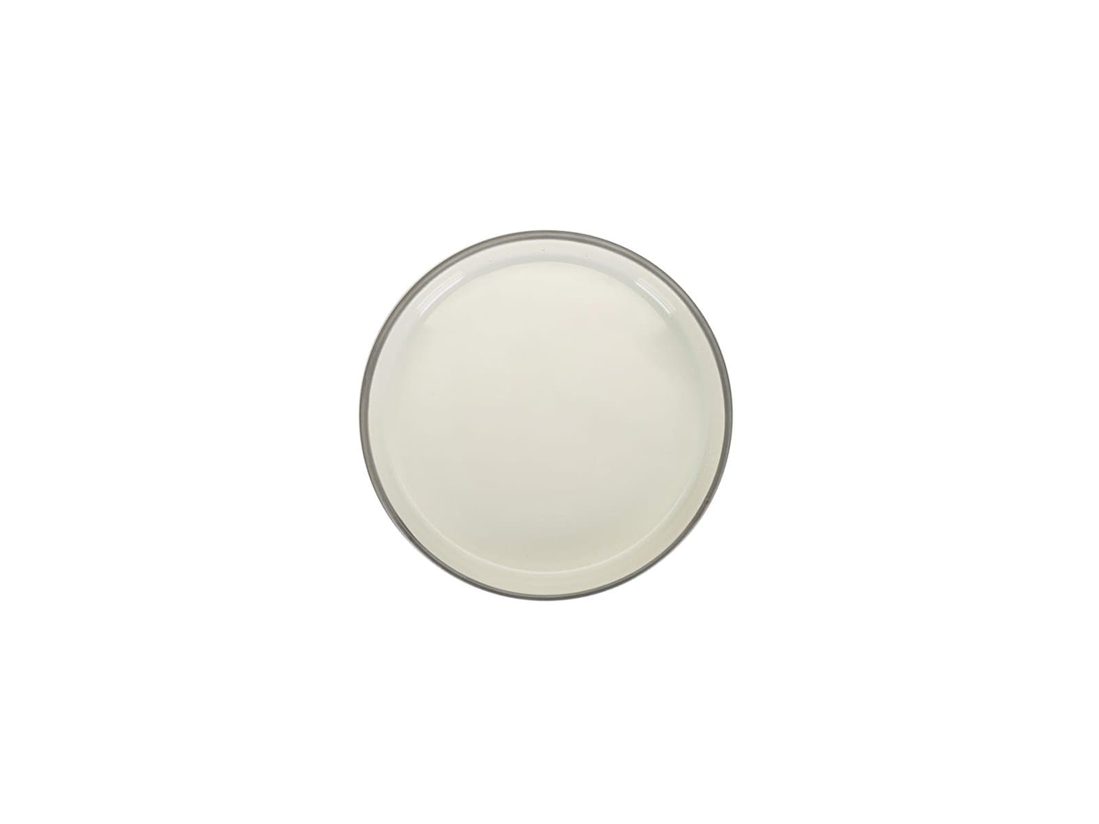 Porland Ash Double Face Beyaz Çift Taraflı Düz Tabak 16cm