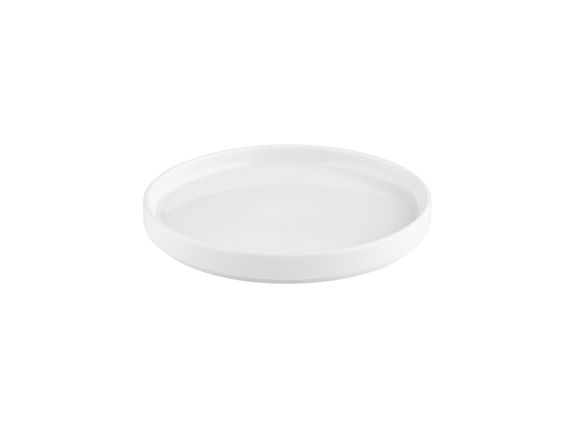 Helix Flat Plate Smooth 25 cm