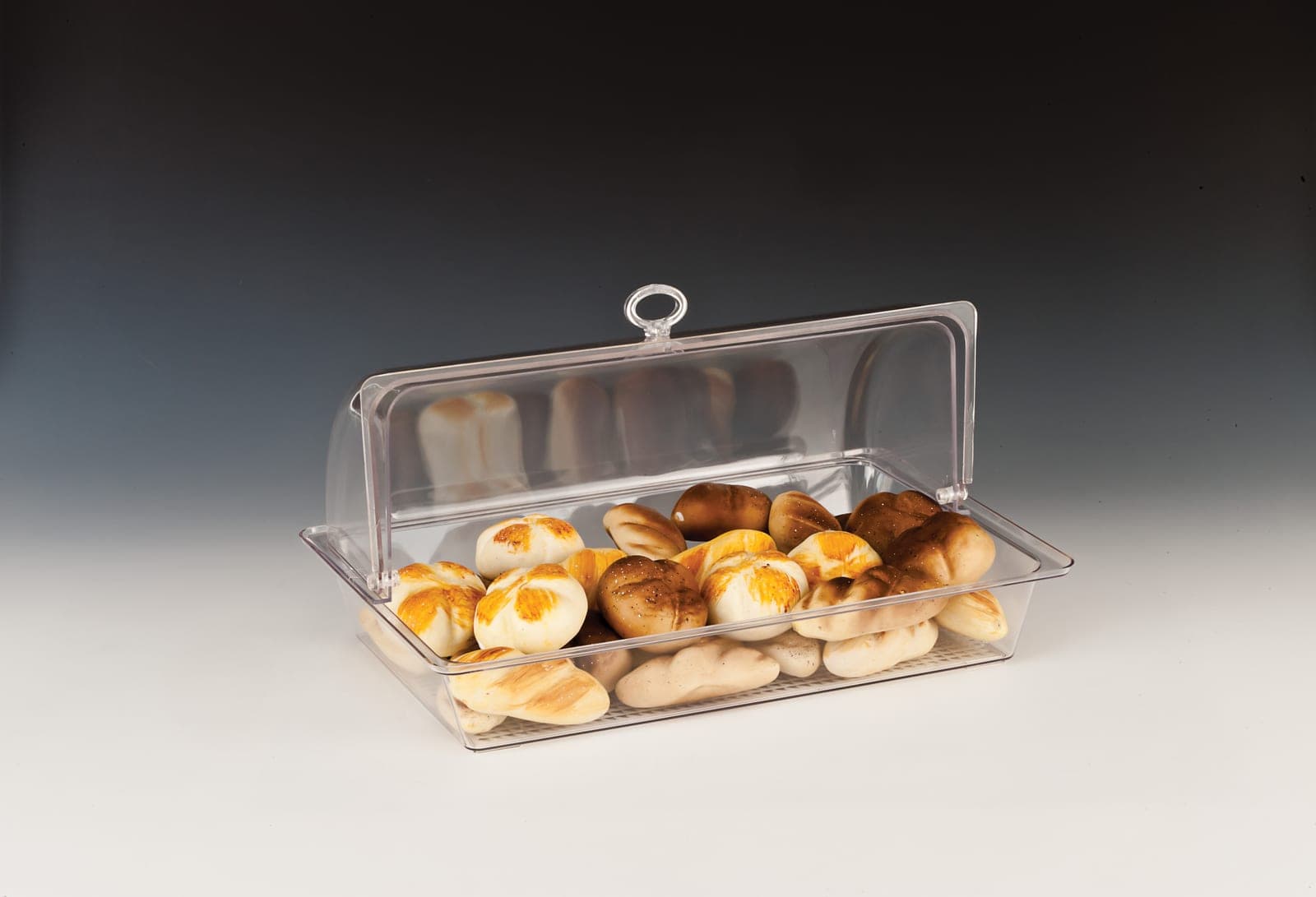 KOMPLE POLYCARBONAT MUHAFAZA KABI / DERİN - 28 x 43 x H: 22 cm