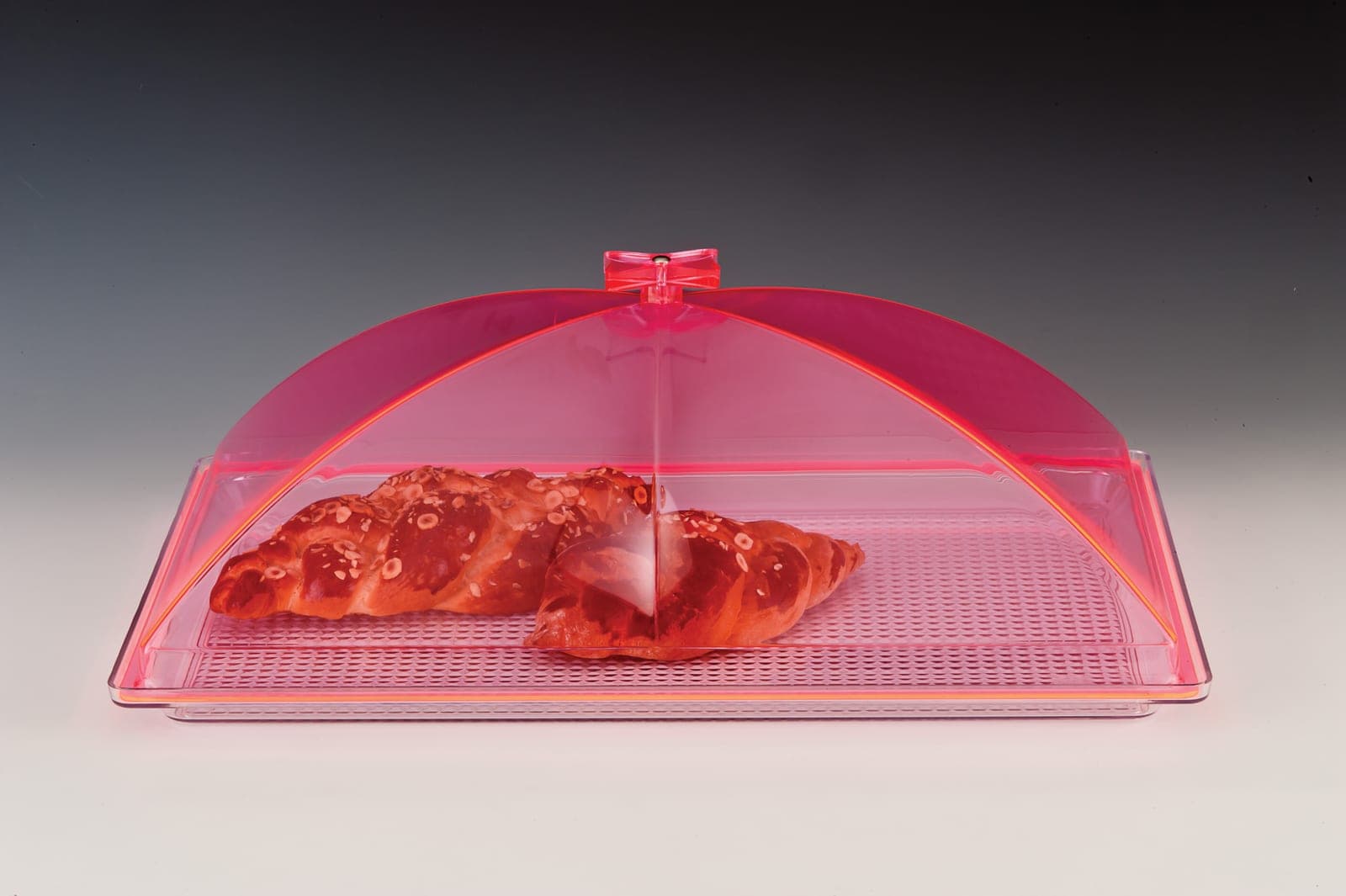 POLYCARBONAT TEPSİLİ, AKRİLİK KAPAKLI MUHAFAZA KABI / BÜYÜK 35 x 55 cm