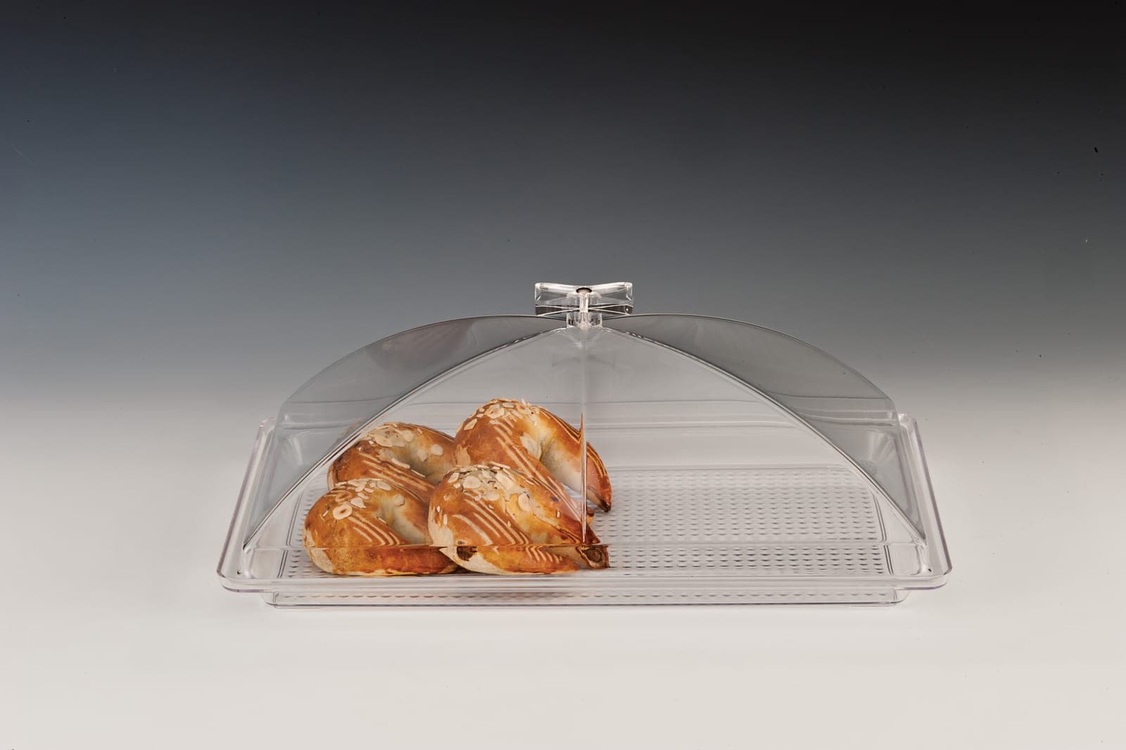 POLYCARBONAT TEPSİLİ, AKRİLİK KAPAKLI MUHAFAZA KABI / KÜÇÜK 28 x 43 cm