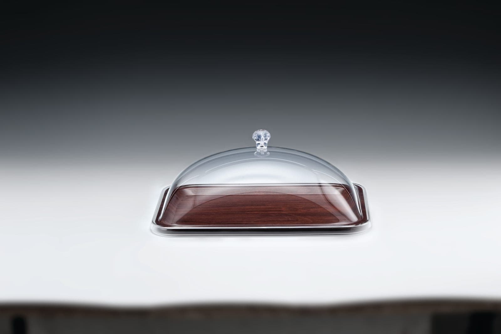 ALFORM TEPSİLİ MUHAFAZA KABI - 24 x 35 cm