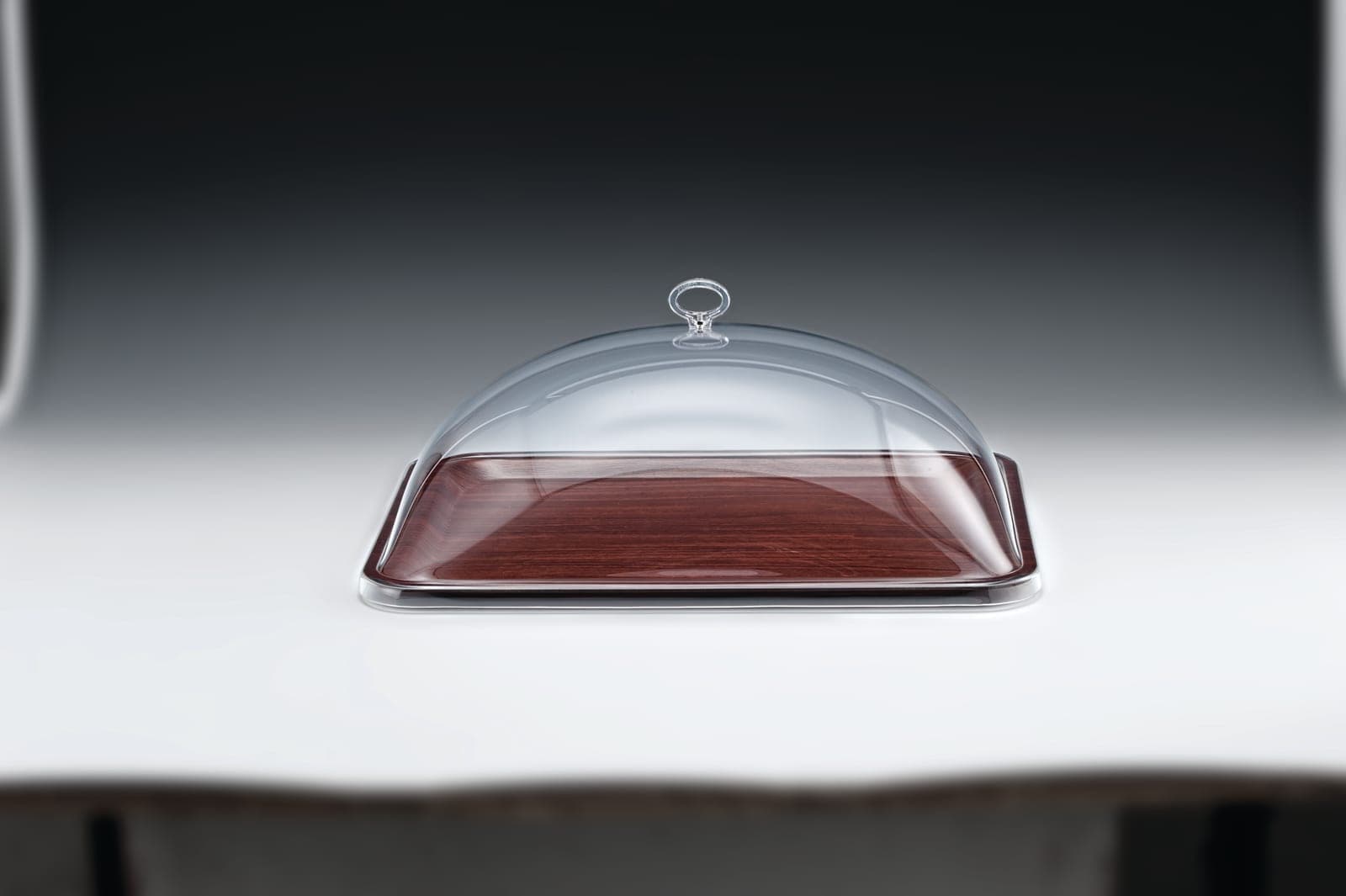 ALFORM TEPSİLİ MUHAFAZA KABI - 32 x 44 cm