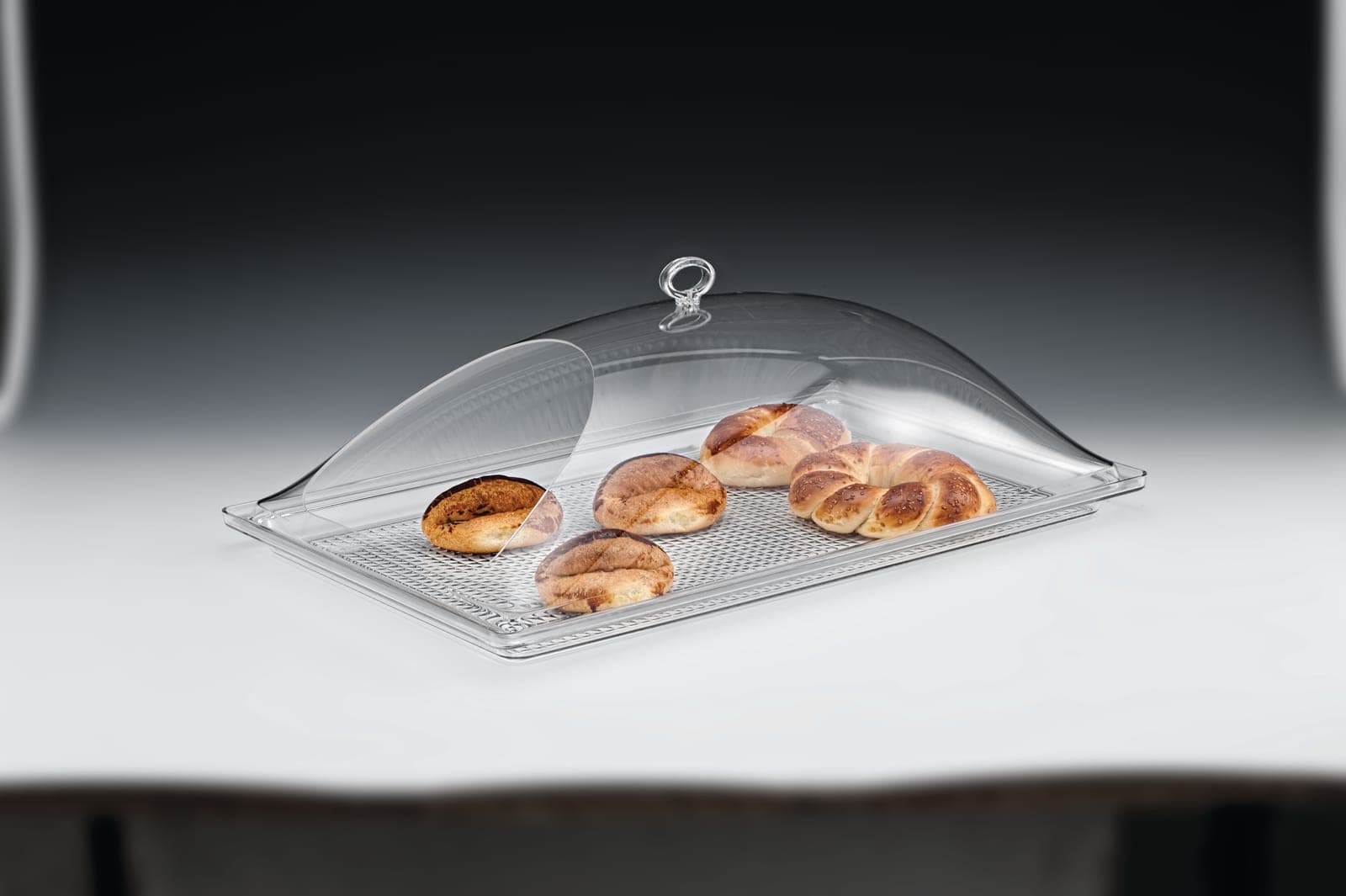 POLYCARBONAT TEPSİLİ MUHAFAZA KABI / BÜYÜK 35 x 55 cm