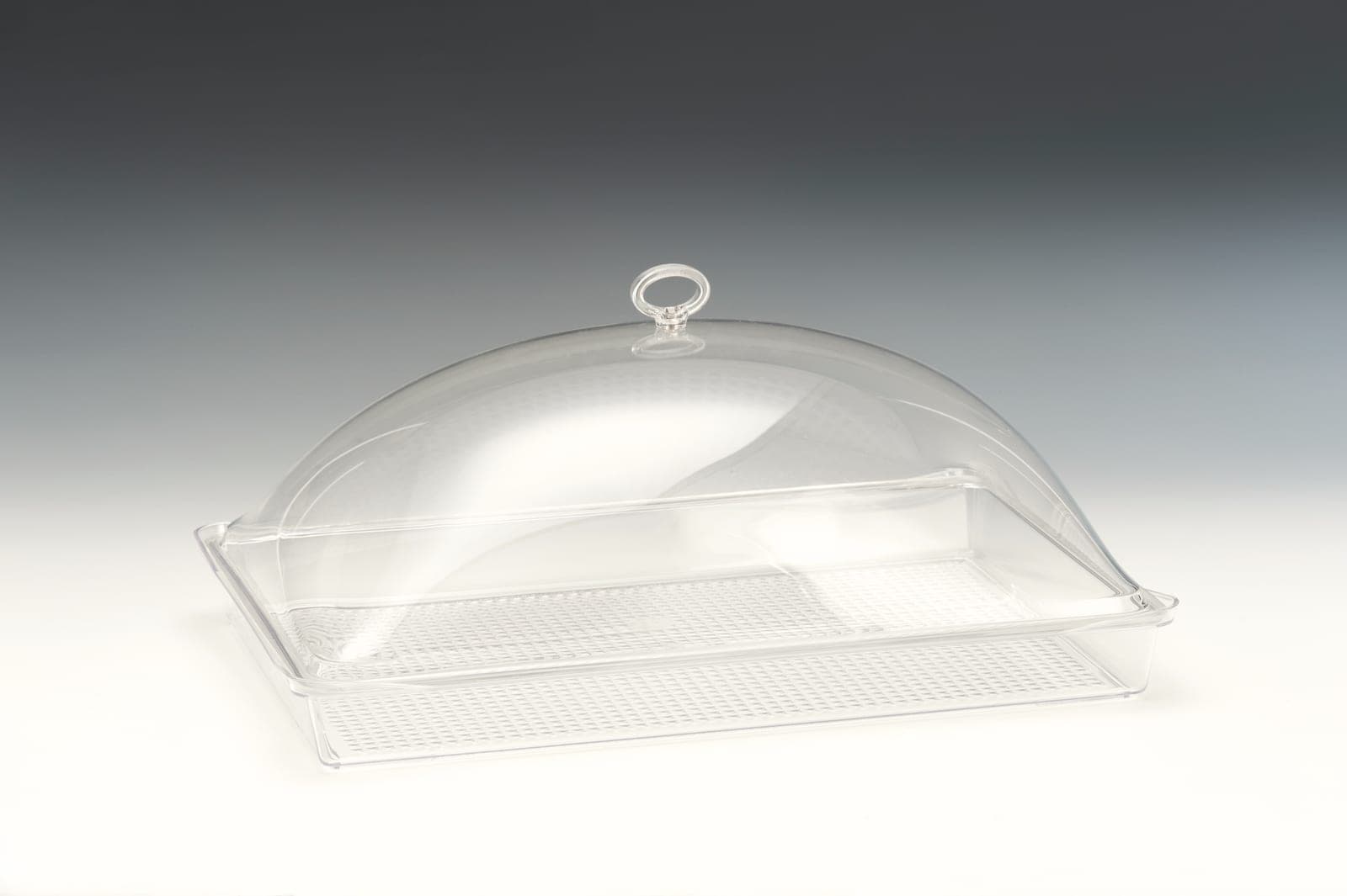 AKRİLİK KAPAKLI POLYCARBONAT TEPSİLİ MUHAFAZA KABI 31 x 46 x H: 16 cm