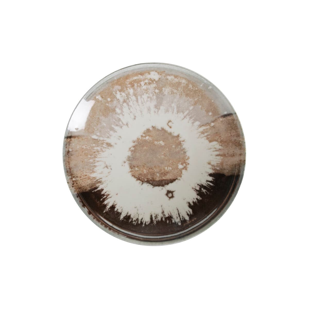 Digibone INTERNATIONAL 25 CM BOWL 2068