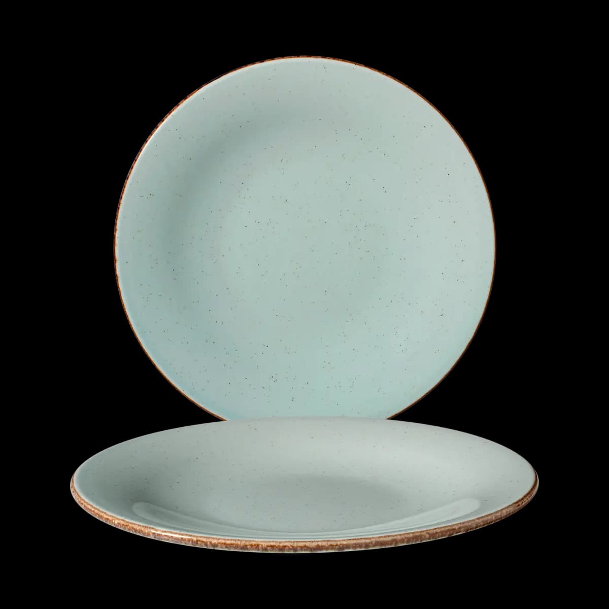 Paris 21 cm Flat Plate
