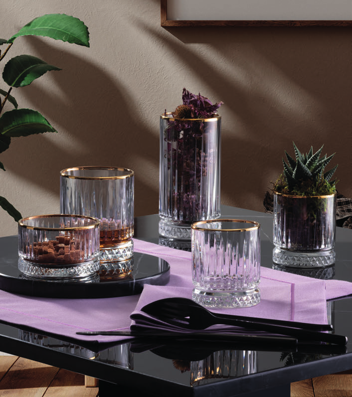 Pasabahce Elysia Cocktail Glass 500cc - Styled