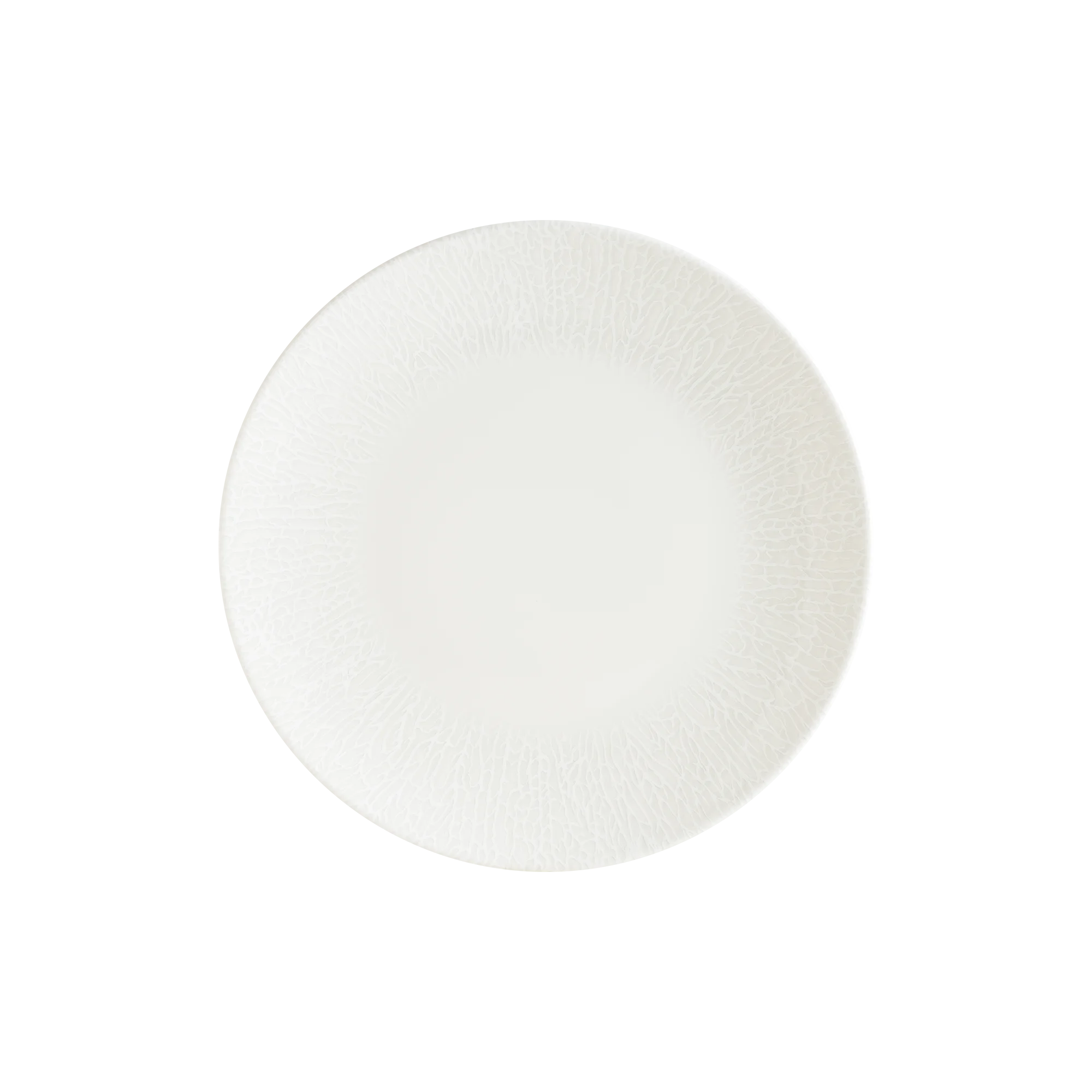 Radix Gourmet Flat Plate 25 cm