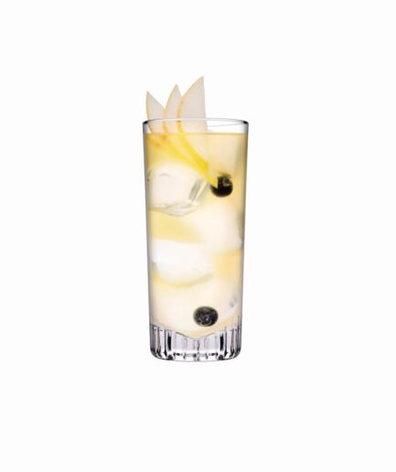 Caldera Tall Cocktail Glass Set 285 cc