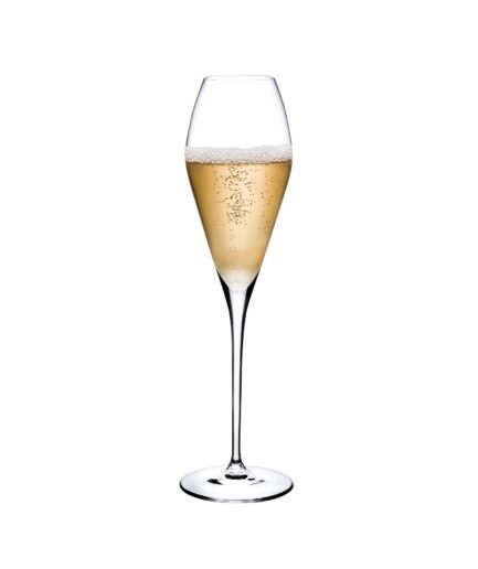 Fantasy Double Champagne Glass Set